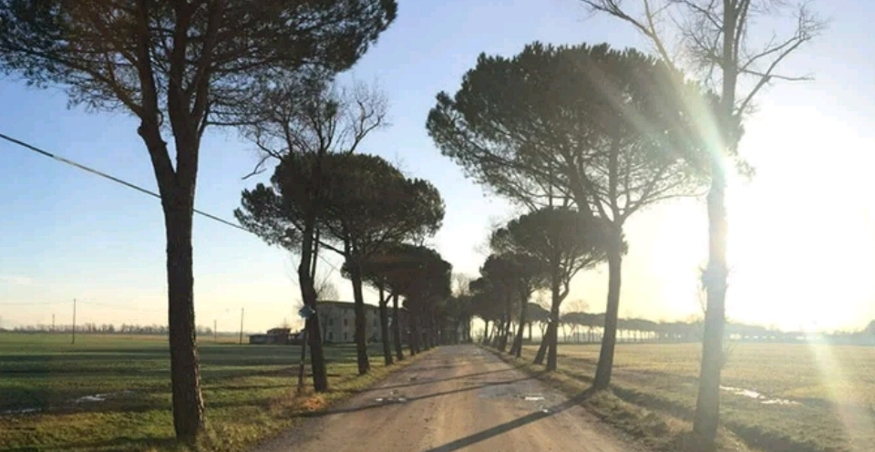 CONCERTO ALL’ALBA Gruppo fiati – 2 giugno ore 6:30, Palazzolo dello Stella (Ud)